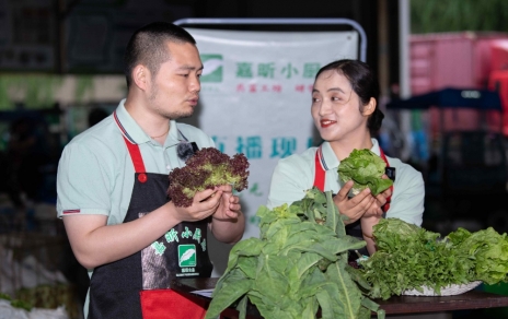 千金如玉，一口清心--生菜?油麥菜?萵筍直播專場